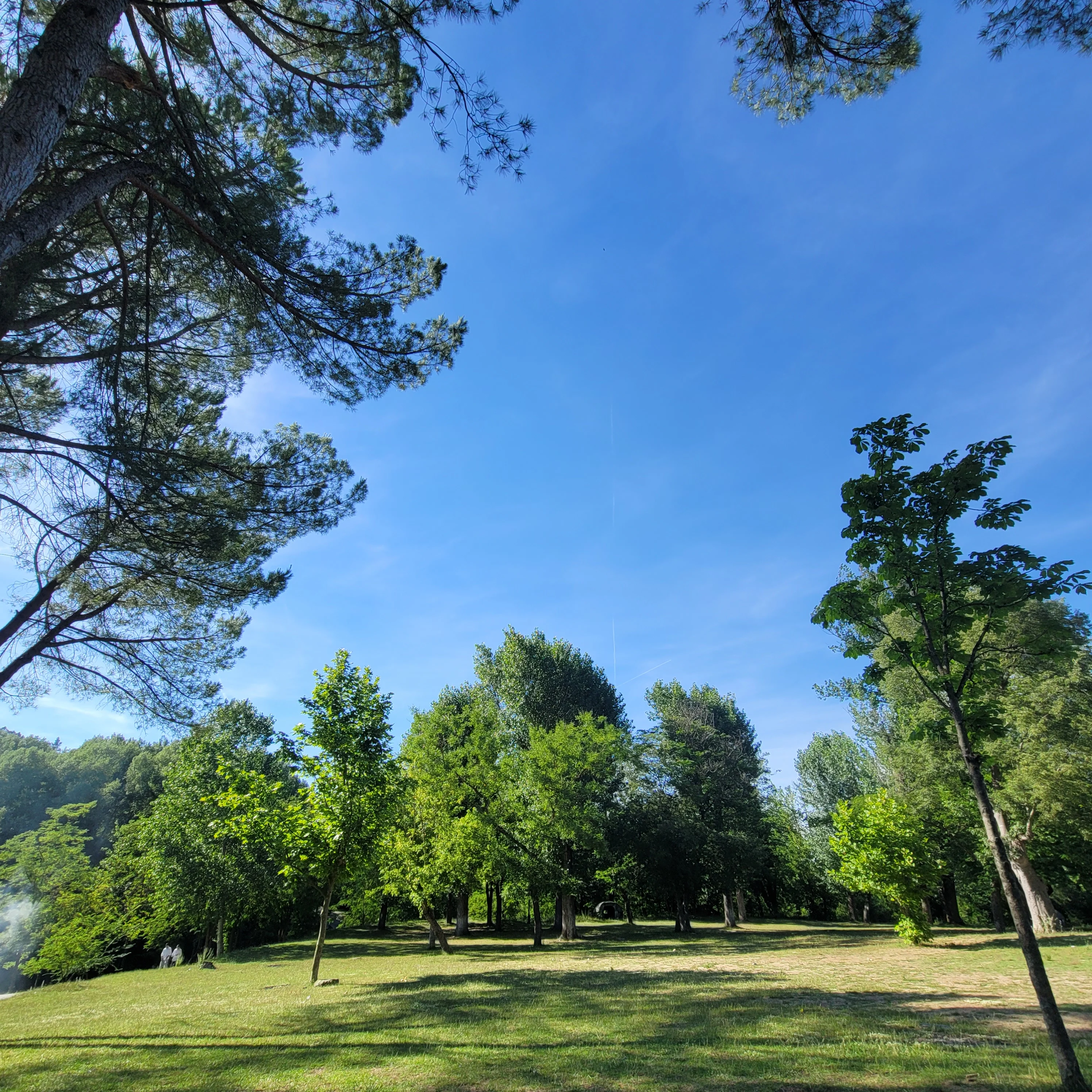 Parku Pezë