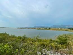 Liqeni i Tapizës