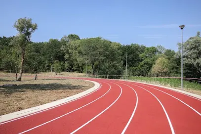 Pista e atletikës
