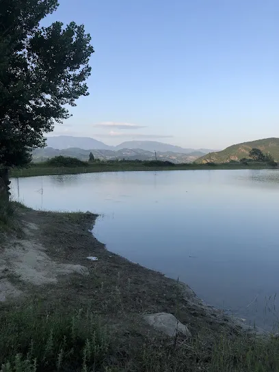 Liqeni i Damjanit