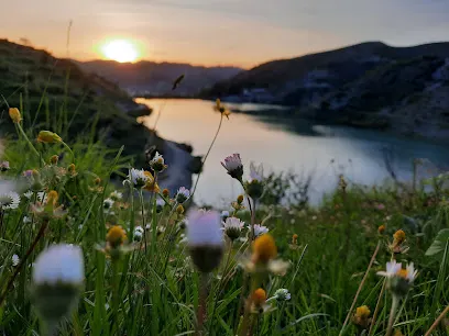 Liqeni Pezë Helmës