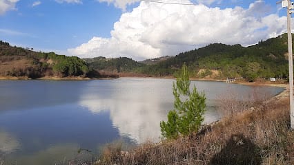 Liqeni i Shargës