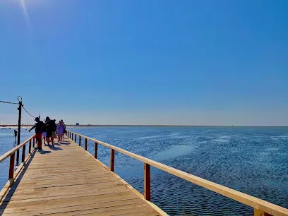Ishulli i Divjakës
