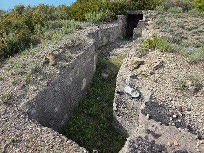 Rrënojat e Kalasë së Turrës