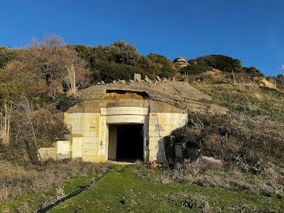 Bunkerët e Kepit të Rodonit