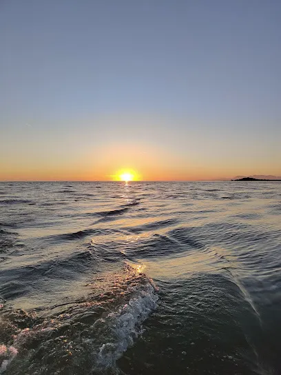 Laguna e Patokut