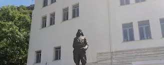 Sheshi Topulli