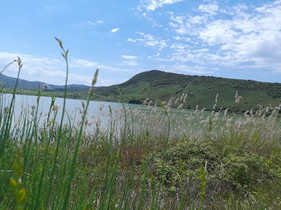 Liqeni i Luarit