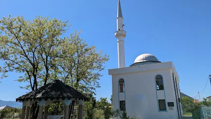 Xhamia e Kalldrunit